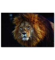 Cakapuzzle  Aslan Kral  Puzzle Yapboz MDF (Ahşap) (120 Parça)