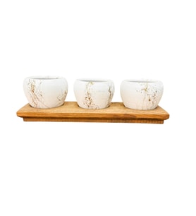 Bitkitasarımı White Marble Premium 3'lü Saksı Seti Ahşap Standlı Dekoratif Saksılık