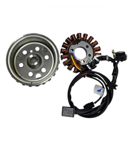TVS Raider 125 Statör Volant Seti N6060190