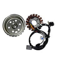 TVS Raider 125 Statör Volant Seti N6060190