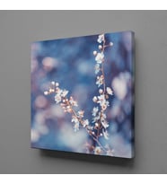 ÇİÇEK BÜYÜSÜ KANVAS TABLO 190x190cm