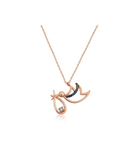Gümüş Rose Yeni Doğan Bebek Kadın Kolye CSR2180651