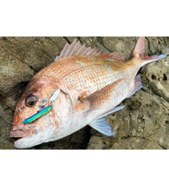 BlueBlue Metal Shalldus 6.7 CM 45G Kaşıklı Jig Yem 07
