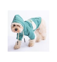 Pawstar Kedi ve KÜÇÜK Köpek Green Cute Hoodie L Sırt33cm Göğüs46cm Boyun30cm