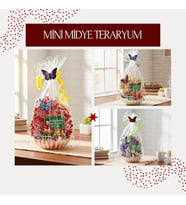 Mini Midye Teraryum - Öğretmenler Günü Hediyesi