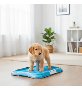 Runaway Köpek Eğitim Tuvalet Kabı Büyük Boy – Pratik Çözüm