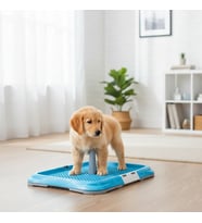 Runaway Köpek Eğitim Tuvalet Kabı Büyük Boy – Pratik Çözüm