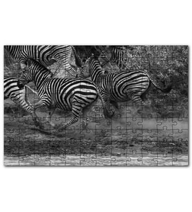 Cakapuzzle Su Kenarında Kaçan Zebralar Siyah Beyaz Puzzle Yapboz MDF (Ahşap) (120 Parça)