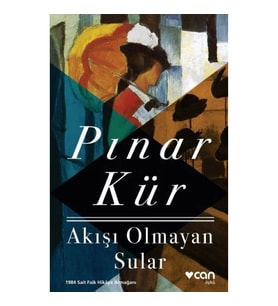 Akışı Olmayan Sular