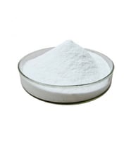 Arginine 100 gr (Hammadde)