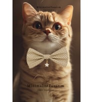 Yıldızlı kedi papyonu, Kedi tasması, kedi aksesuarlari, kedi urunleri ,kedi kolyesi, Köpek kolyesi