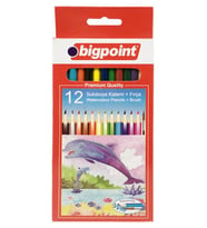 Bigpoint 12li Sulu Boya Kalemi (Fırça Hediyeli)