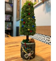 Çam Ağacı Moss Tablo, Yılbaşı, Çam Bonsai Ağacı Moss Garden Dekoratif Hediyelik Mini Biblo