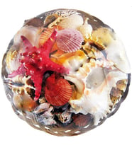 Fruit Of The Sea 35 CM