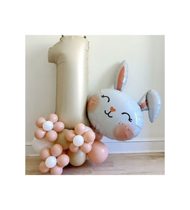TAVŞAN KAFA FOLYO BALON SET