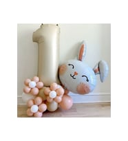 TAVŞAN KAFA FOLYO BALON SET