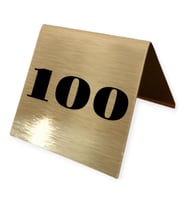 Masa Numaratörü-100