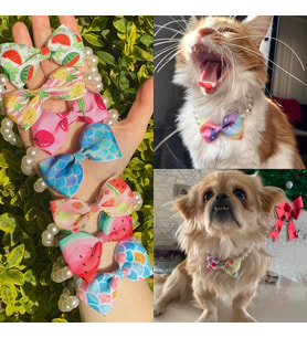 Fiyonk Şeklinde İnci Boncuklu Yetişkin Kedi/ Küçük-Orta Irk Köpek Tasması