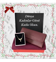 Kadın Cüzdan Bordo-Penye Şal-Melek Kanatlı Çelik Kolye