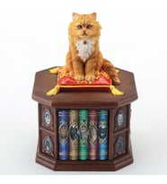Veronese Serisi-Wise Karışık-KÜTÜPHANECİ KEDİ-11*11*17 CM-JWU78212AA