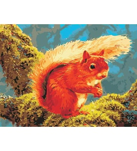 Sincap Sayılarla Boyama Seti(40x50 cm Tuval Şasesine Gerili)
