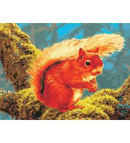 Sincap Sayılarla Boyama Seti(40x50 cm Tuval Şasesine Gerili)