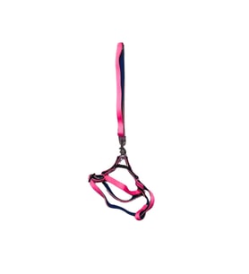 Kedi Köpek Göğüs Tasması Neon Pembe