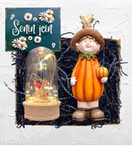 Led Işıklı Biblolu Fanus ve Sevimli Bal Kabağı Biblosu Hediye Seti (Model 1)