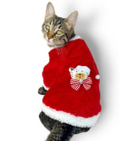 Cat SantaBow Yılbaşı Kedi Sweati