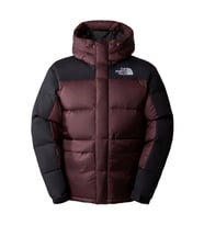 The North Face Kaz Tüyü HMLYN Erkek Parka NF0A4QYXLOS1 (Kahverengi)