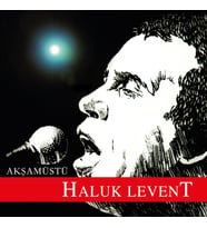 Haluk Levent Akşamüstü - Plak (Standart)