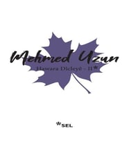 Hawara Dîcleye II