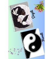 Yin yang defter seti 2 adet A4 boyutu 21*30 çizgili + kareli 60 syf