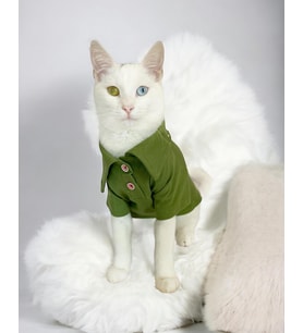 Grass Green Kedi Gömleği Kedi Kıyafeti  Kedi Elbisesi (Yeşil)