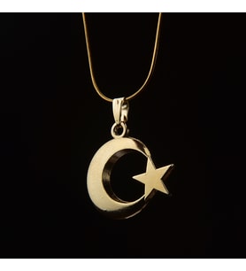 Ay Yıldız Sarı Çelik Kadın Kolye Takı Aksesuar