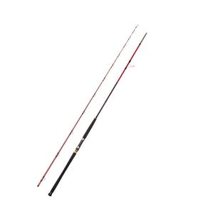 Caretta Vector 295cm 40-120gr Shore Jigging Kamışı