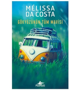 Gökyüzünün Tüm Mavisi