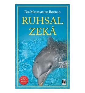 Ruhsal Zeka