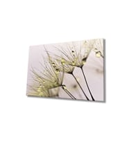 Miyrem Glasses Collection -A1^#  Sarı Karahindiba Cam Tablo (Çok Renkli)