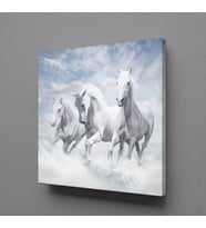 BEYAZ ATLAR ÜLKESİ KANVAS TABLO 120x120cm (Karışık)