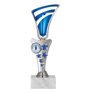 ODAK KUPA - Genel Kupalar - GN-040 C - 22 cm