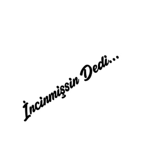 İncinmişsin Dedi Sticker Oto Cam Sticker Siyah 20*4 Cm