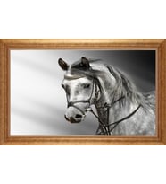 ALTIN ÇERÇEVELİ PASPARTULU TABLO CR1264