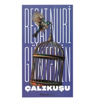 Çalıkuşu - Reşat Nuri Güntekin Inkılap Yayınları 9789751047236