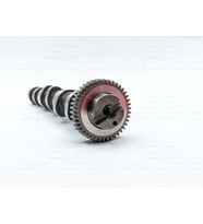 Volkswagen Polo Skoda Fabia Roomster Seat Ibiza 1.2 TDI Eksantrik Mili Egzoz
