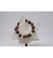 Rudraksha Tohum Bileklik