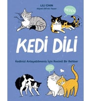 Kedi Dili - Kedinizi Anlayabilmeniz için