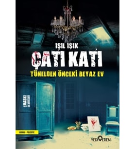 Çatı Katı