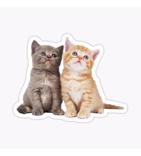 UFak Bebek Kedi Araba Oto Sticker Etiket Renkli y6