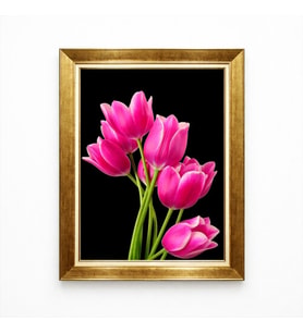 Tablore Pembe Laleler Siyah Arka Plan Gold Çerçeveli Tablo - Modern Çiçek Detaylı Salon Duvar Dekoru